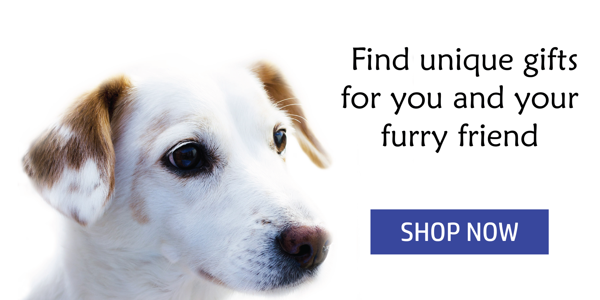 White Dog Furry Friend